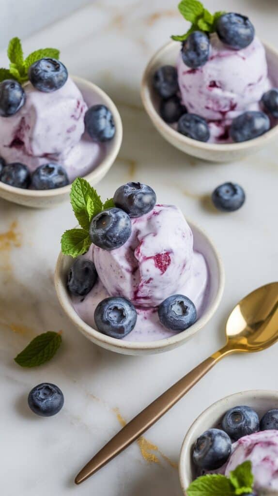 blueberry frozen yogurt