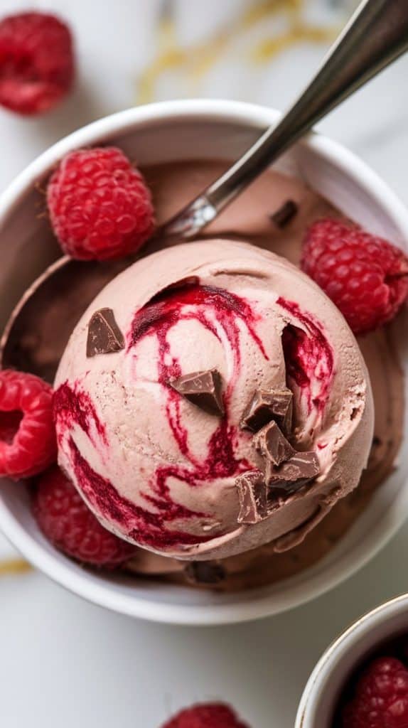 dark chocolate raspberry swirl frozen yogurt