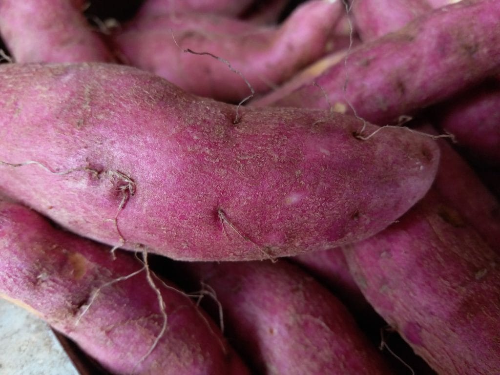 How Purple Yam Can Support Your Circulation and Keep Digestion Moving