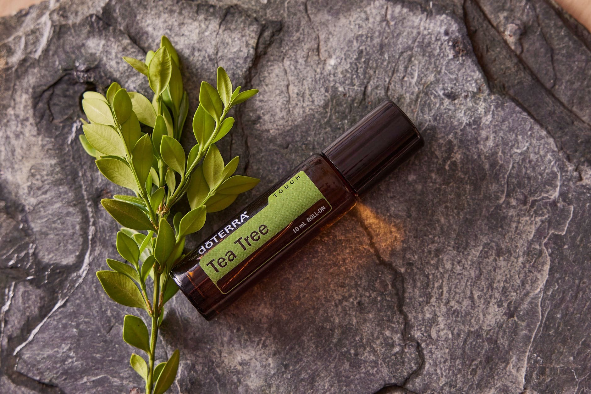 tea tree oil bottle