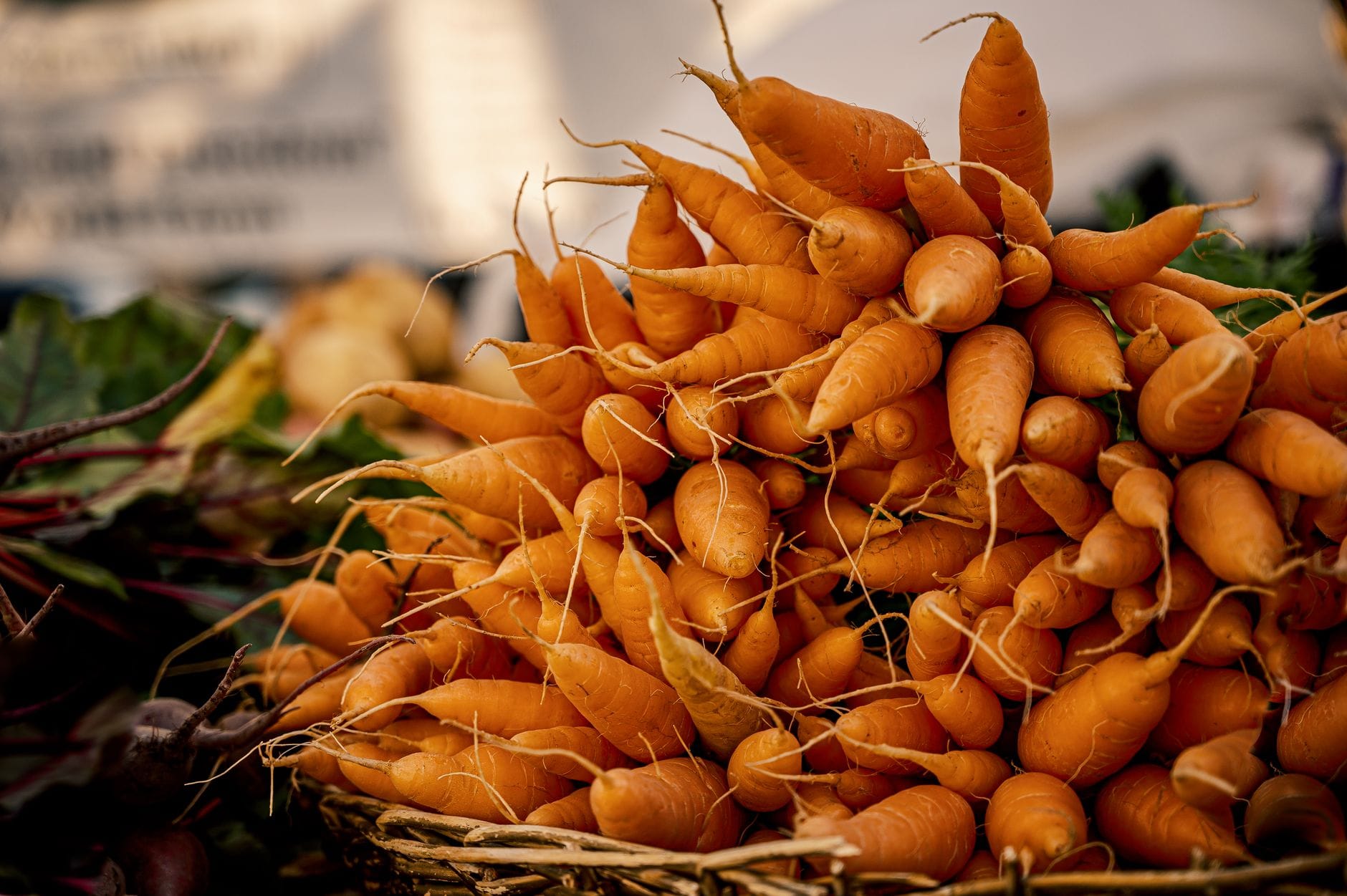 What Eating Carrots Every Day Actually Does for Your Body