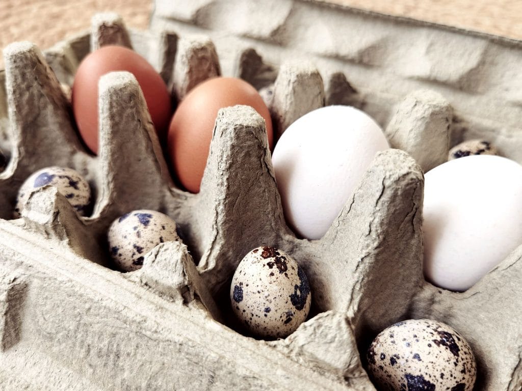 Eggshell Color Comes From the Hen’s Breed and Not From Any Health Benefit