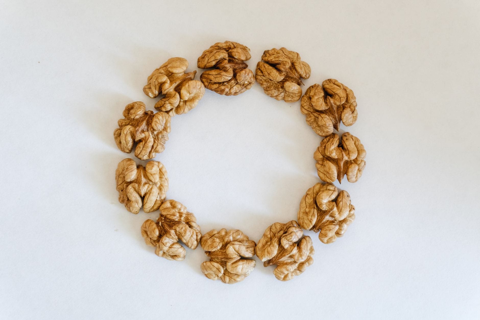 walnut brain shape