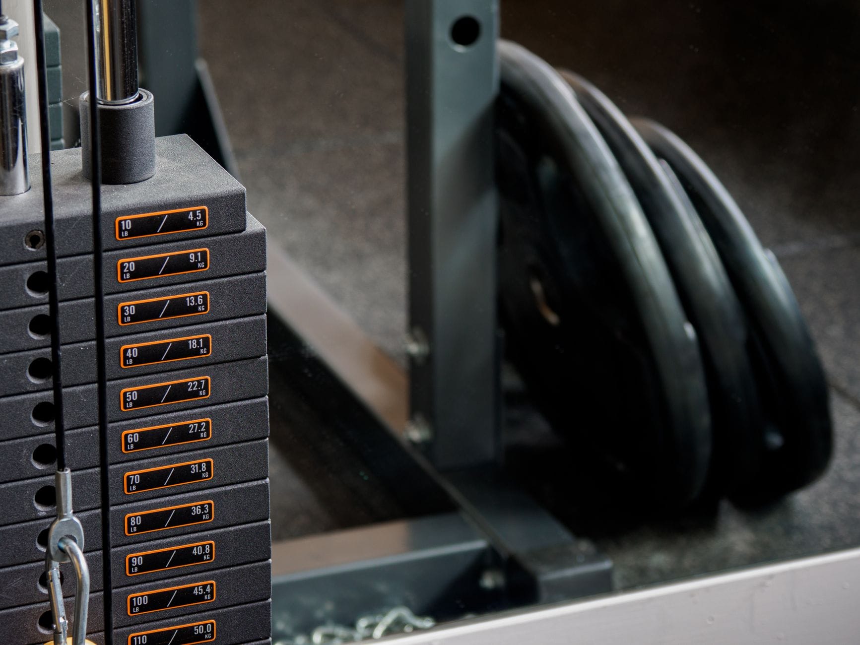 Building Lean Muscle