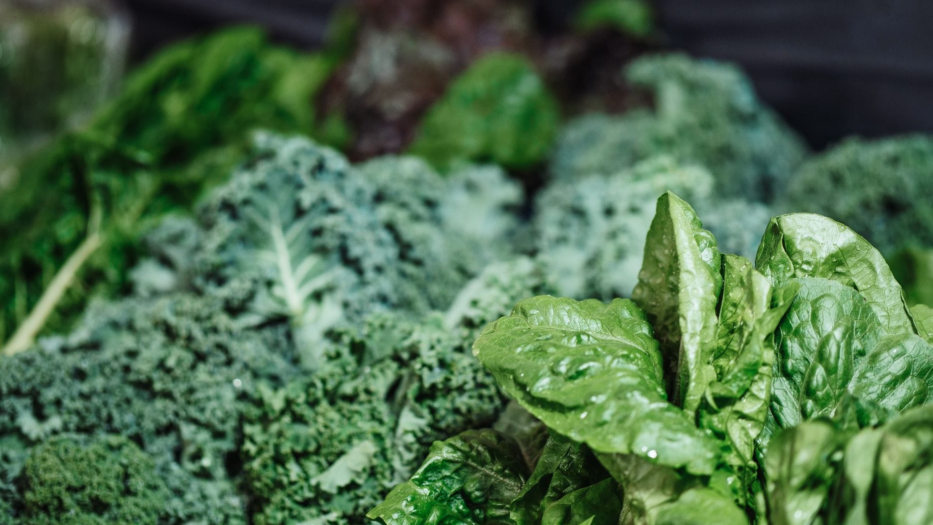 fresh kale spinach