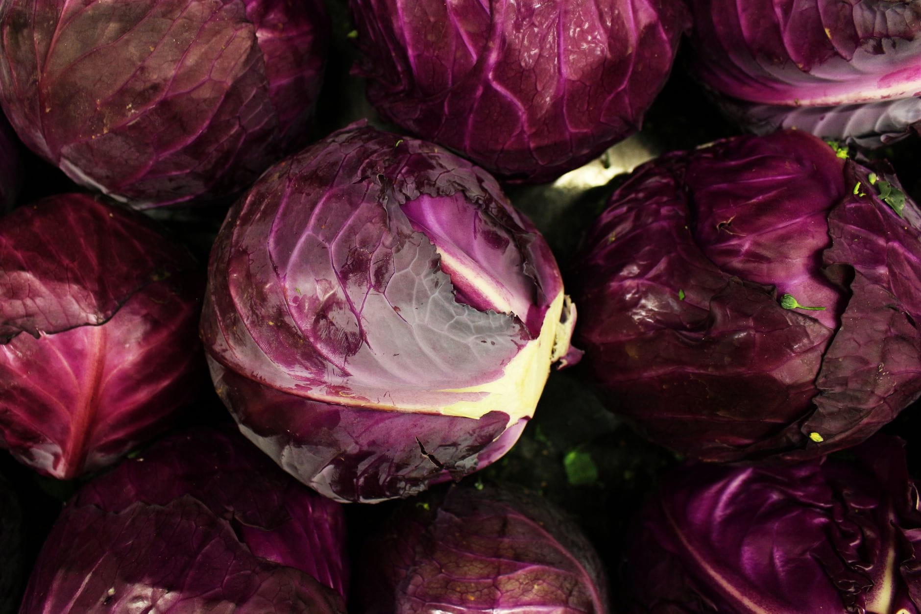 A single deep purple cabbage head resting on a rustic wooden table
