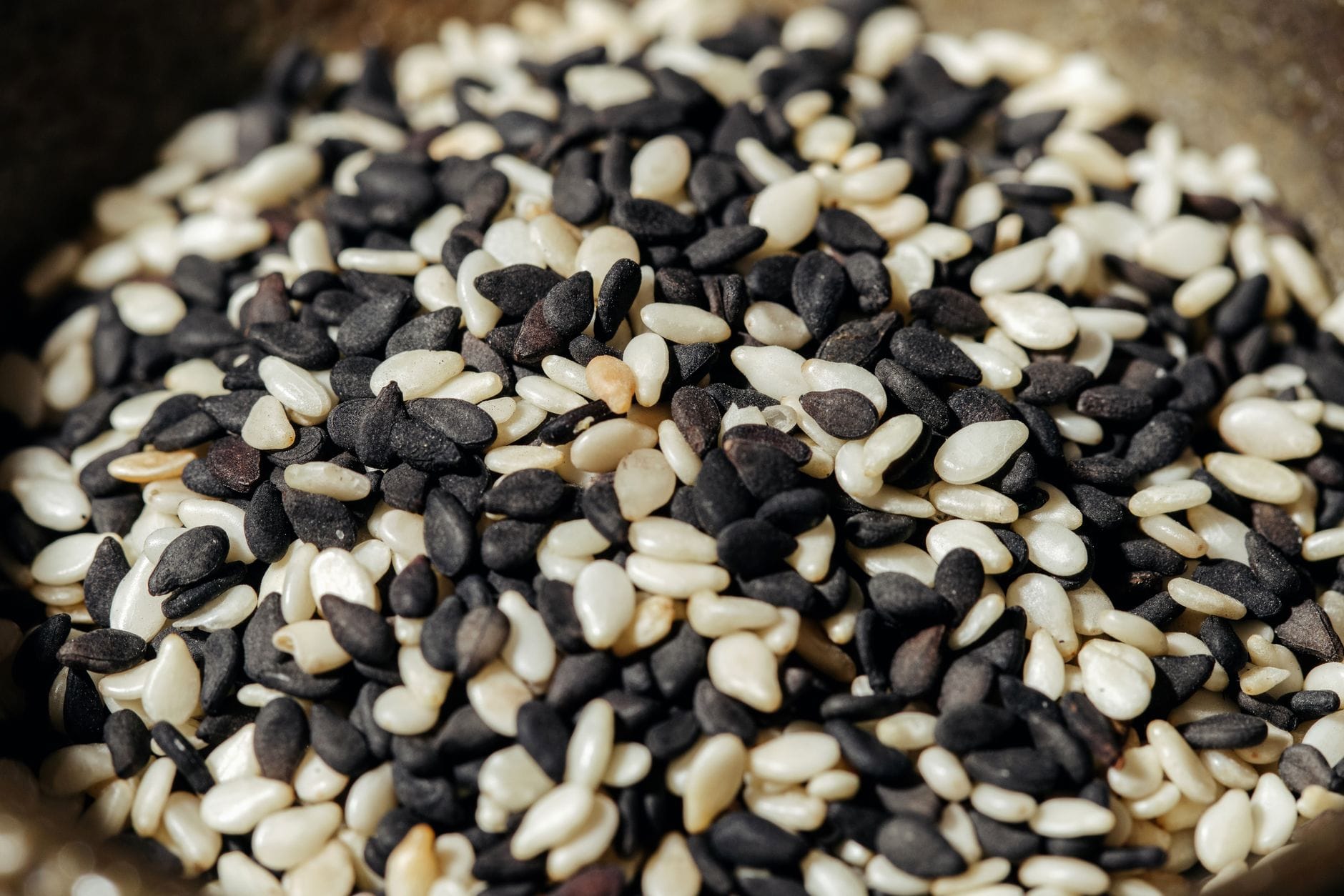 A Closer Look at Sesame Seeds