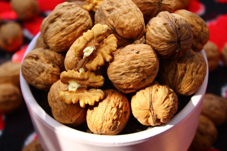 Top 10 Health Benefits of Walnuts, Backed by Science