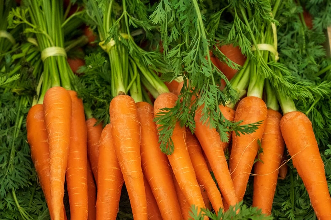 Carrot Side Effects: 5 Surprising Risks of Eating Too Many