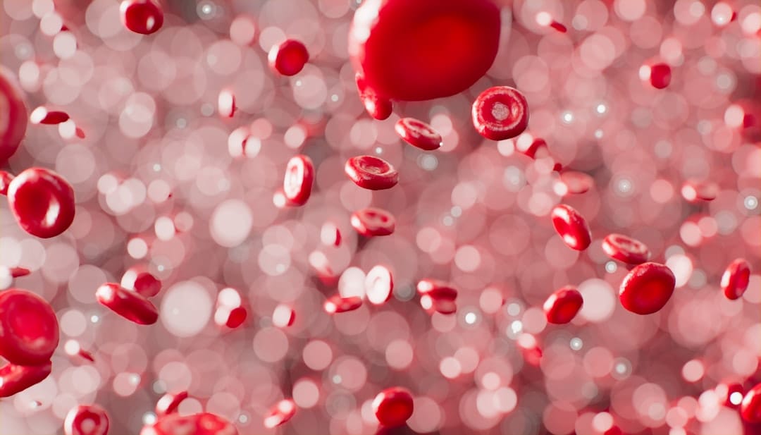 red blood cells microscope