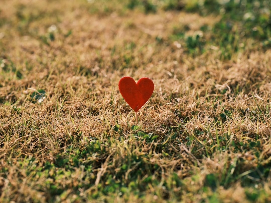 Supports Heart Health