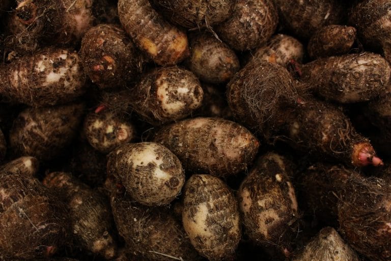 Benefits of Yam for Skin and Health: 9 Science-Backed Reasons to Eat More