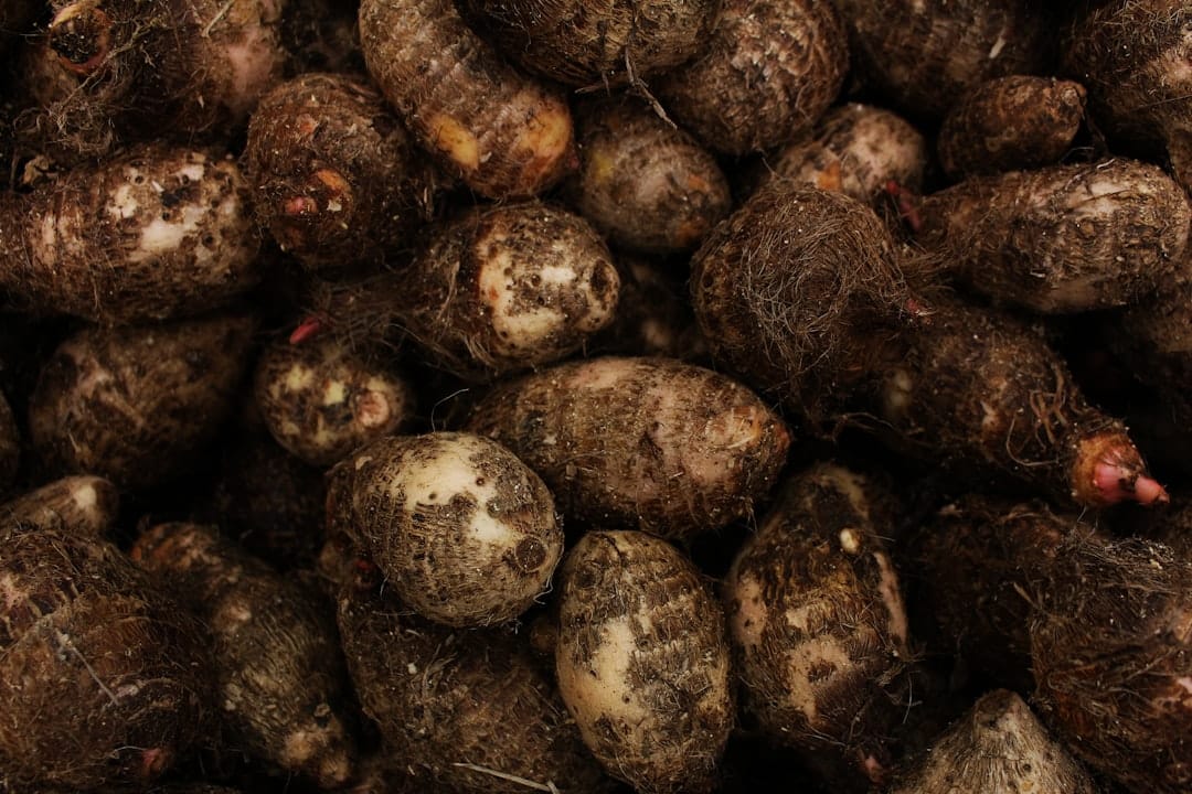 Benefits of Yam for Skin and Health: 9 Science-Backed Reasons to Eat More