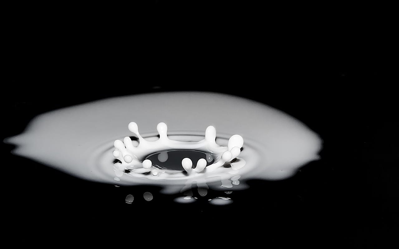 A spread of dairy, leafy greens, and nuts arranged on a light surface