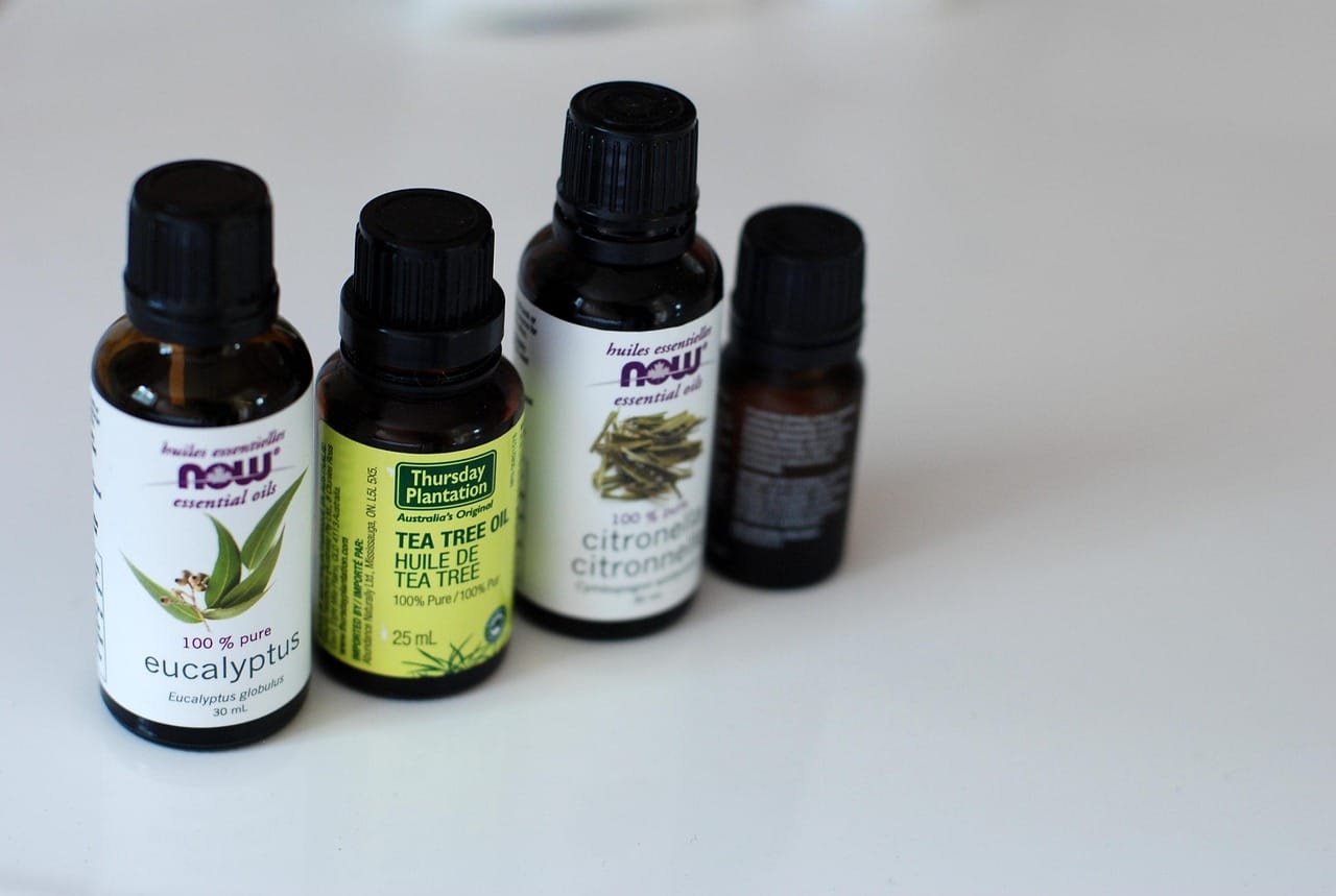 A dropper bottle of tea tree oil beside fresh green tea tree leaves