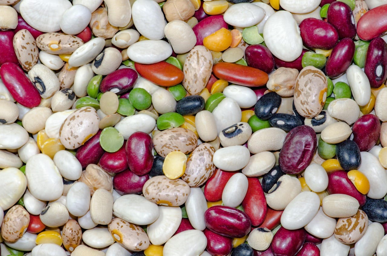 A steaming bowl of white bean and vegetable soup drizzled with olive oil