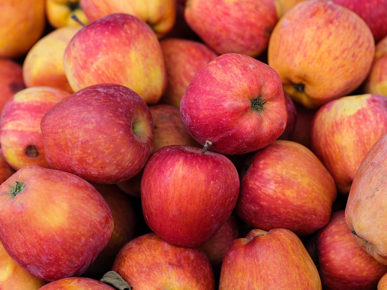 Fresh red apples heaped together on a wooden kitchen countertop