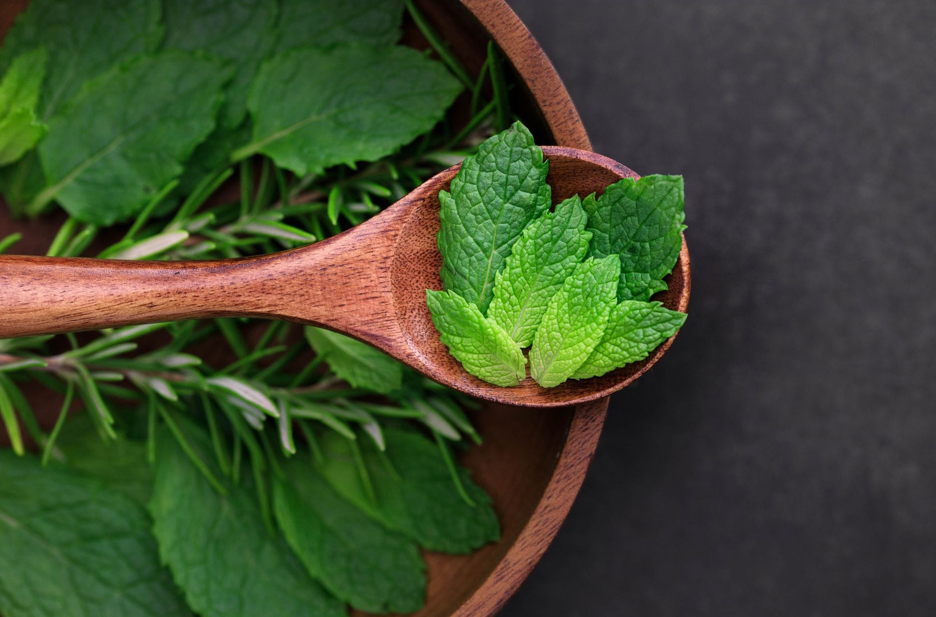 bunch of green mint leaves on a white surface