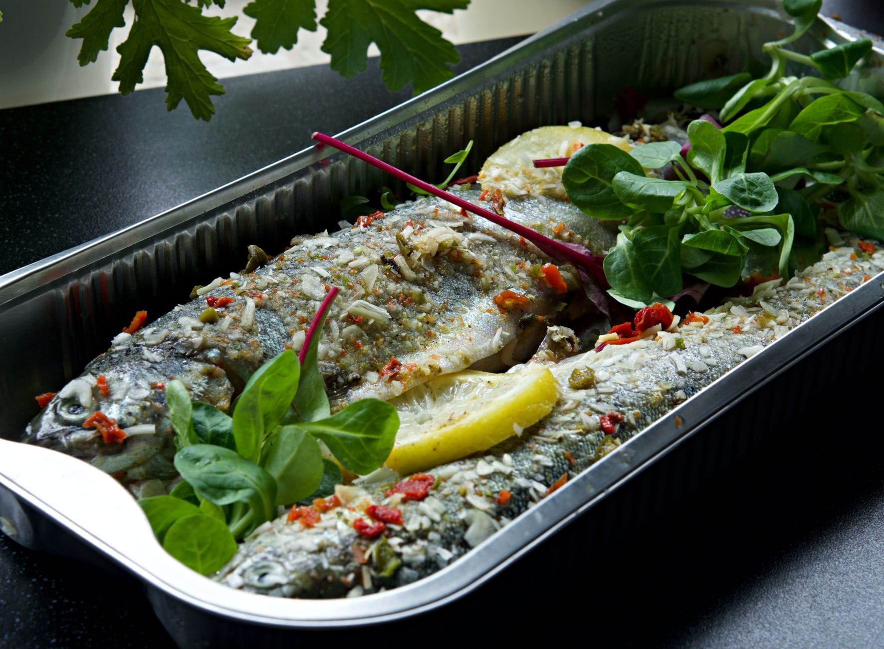 Baked white fish fillets topped with lemon slices and fresh herbs in a dish