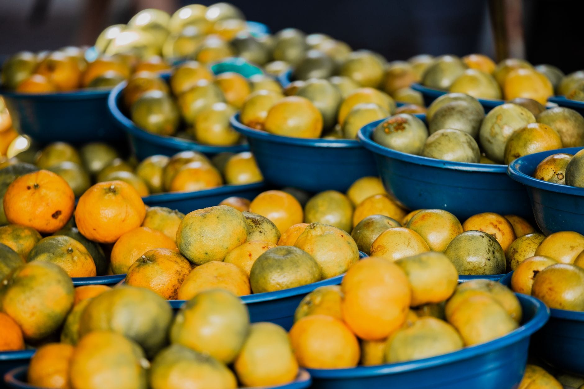 Whole oranges resting in a ceramic bowl on a wooden counter