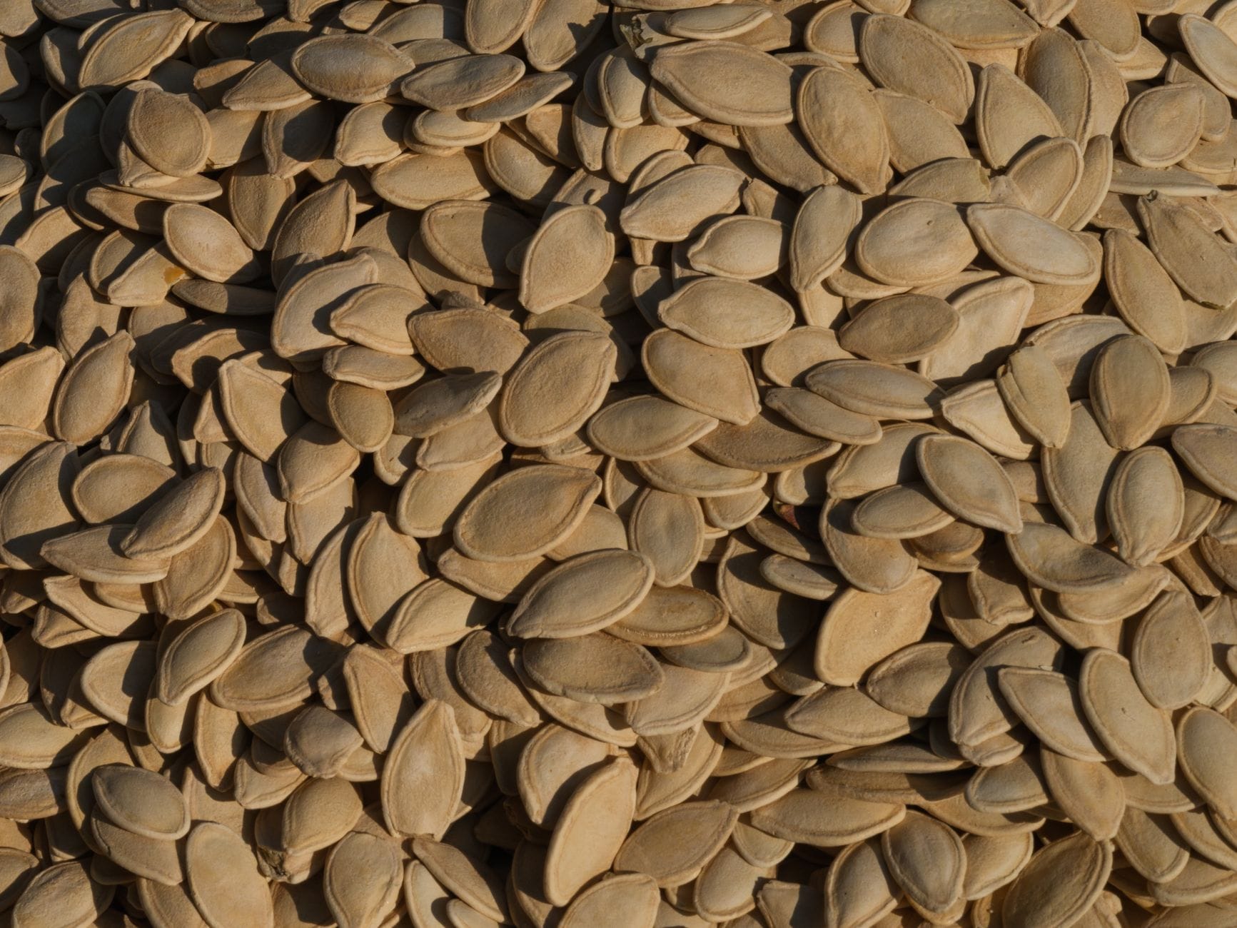 Heap of shelled green pumpkin seeds on a wooden surface
