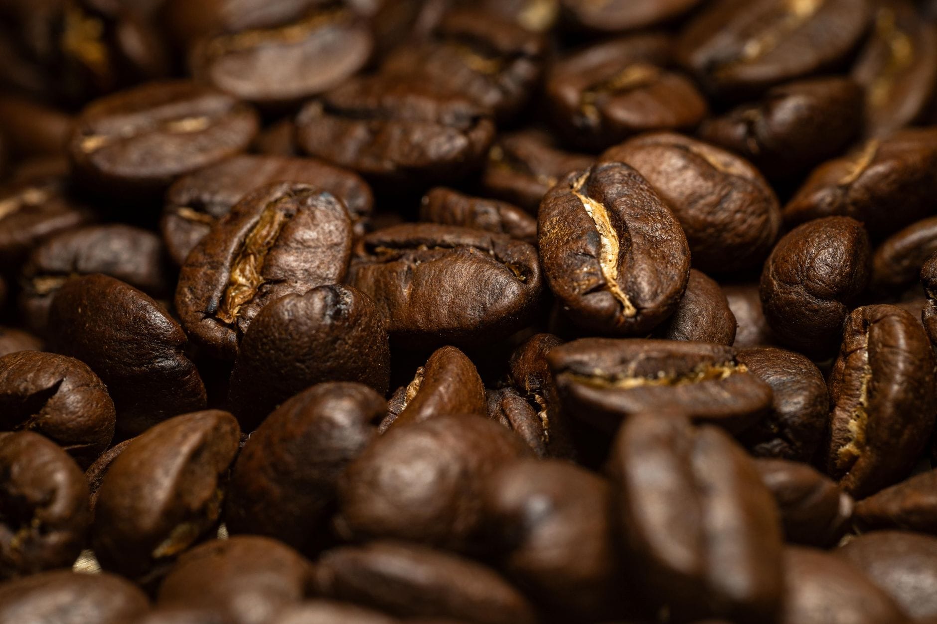 Pile of glossy dark-roasted coffee beans scattered across a surface