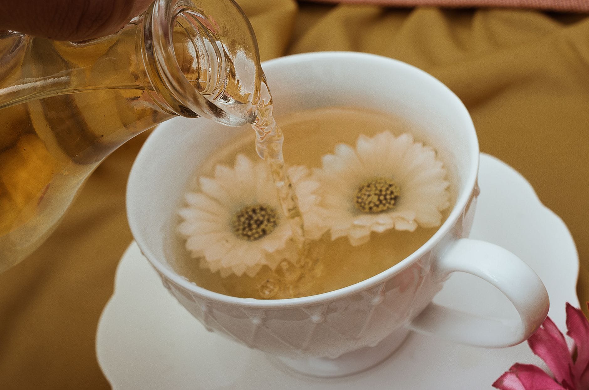 dried chamomile blossoms scattered around a steaming white teacup