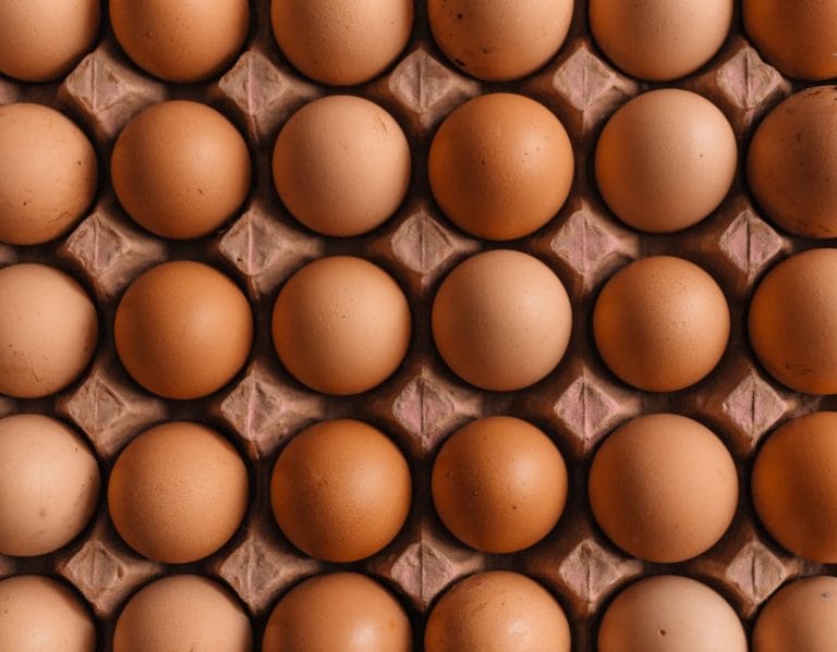 Several pale speckled duck eggs resting in a cardboard egg carton