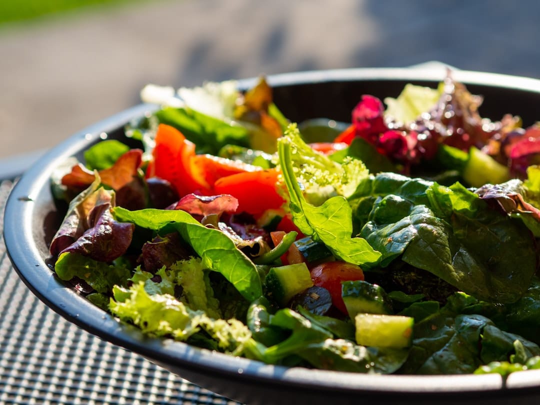 A colorful plate of leafy greens tomatoes and cucumber slices