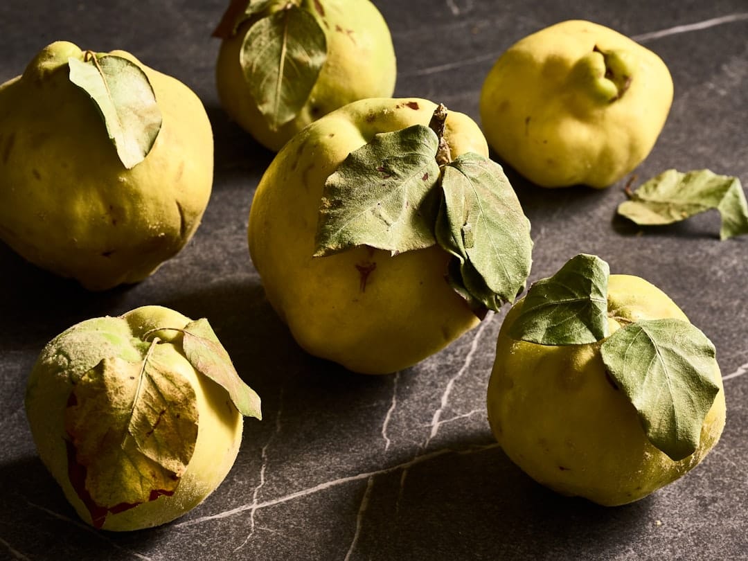 Bright yellow pear-shaped quince fruits resting on a rustic wooden table
