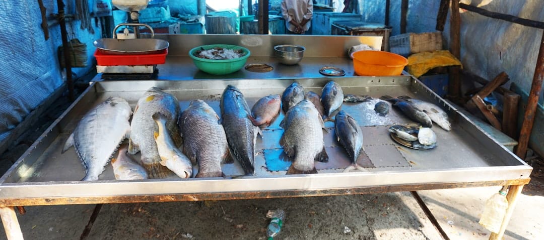 Whole tilapia laid out on crushed ice at a market stall