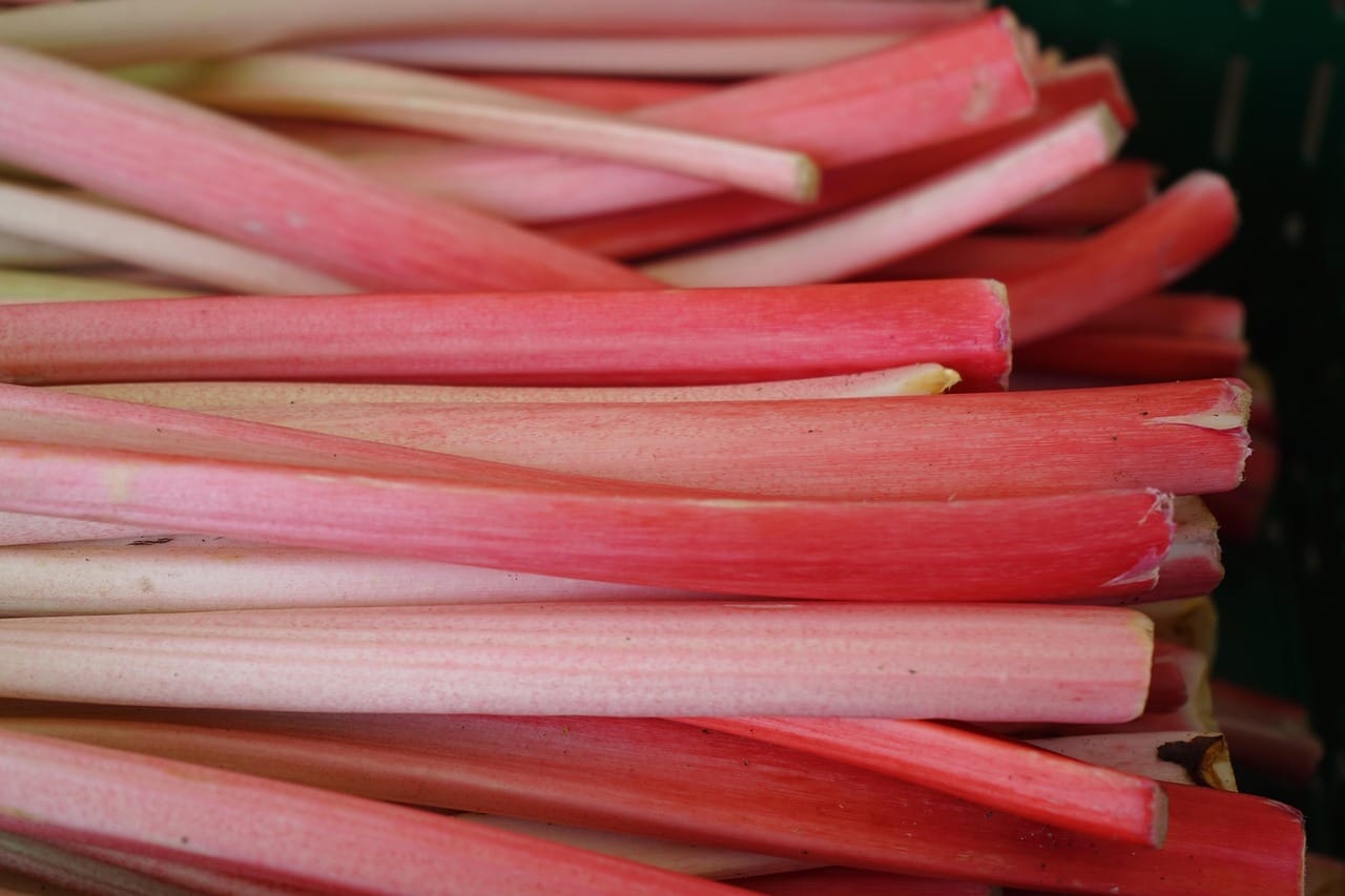 Fresh strawberries and pink rhubarb stalks on a marble surface