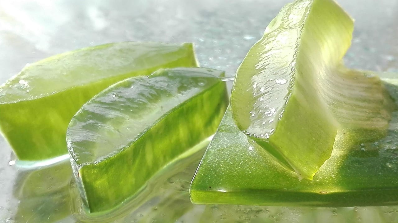 Sliced cucumber beside a scoop of clear aloe vera gel