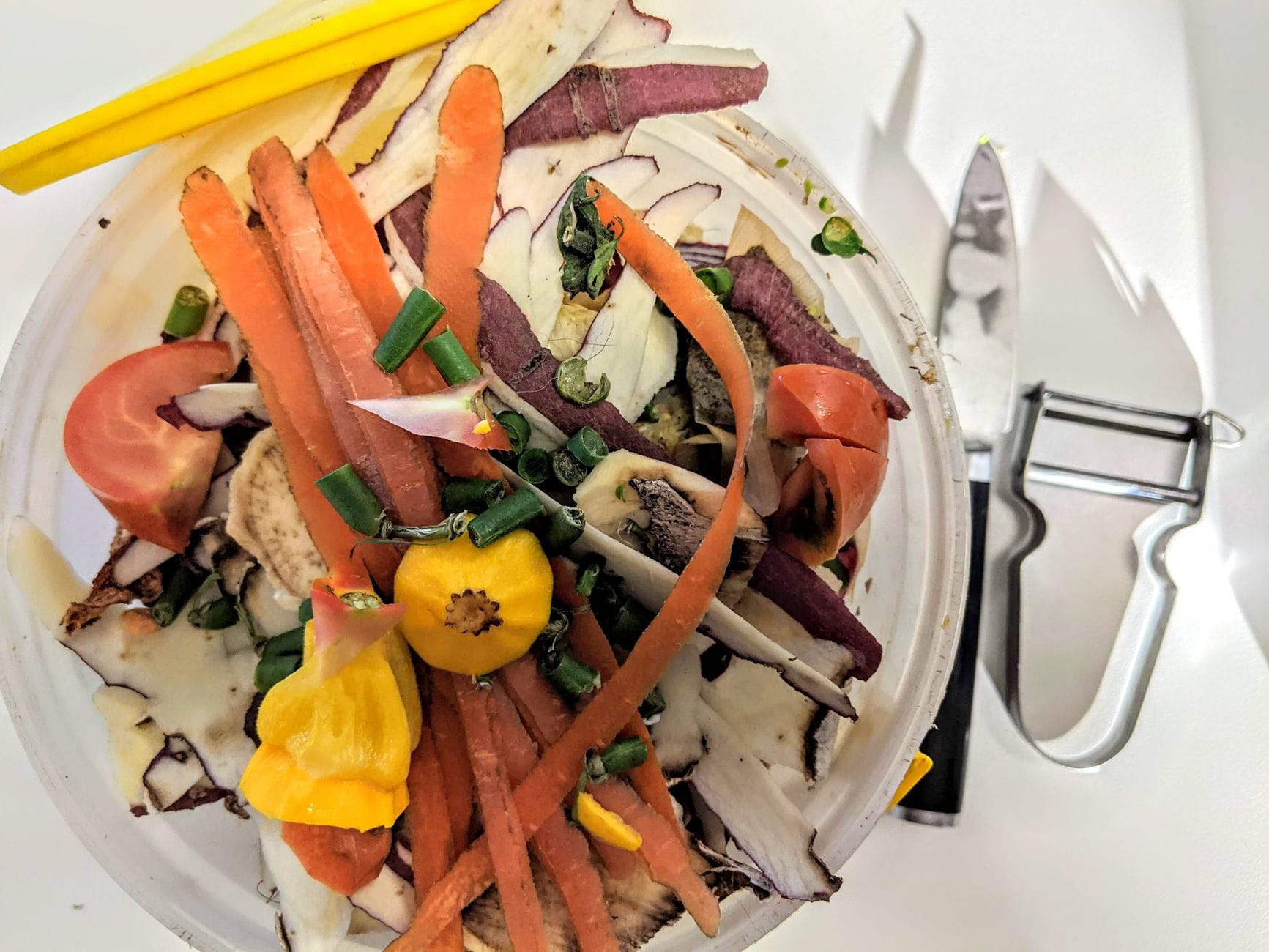 Kitchen food scraps collected in a compost bin on a counter