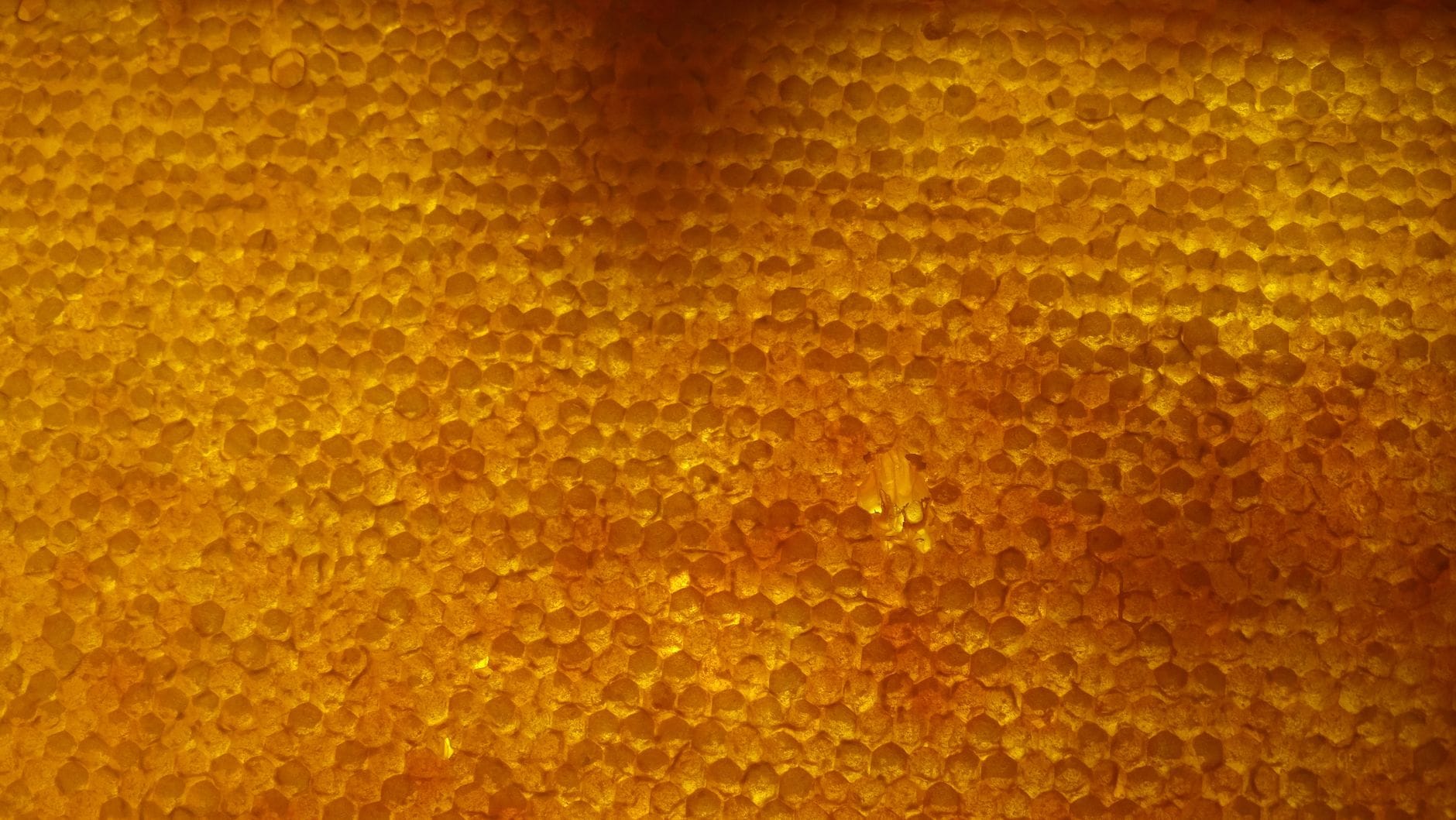 A jar of golden honey beside natural beeswax blocks and olive oil